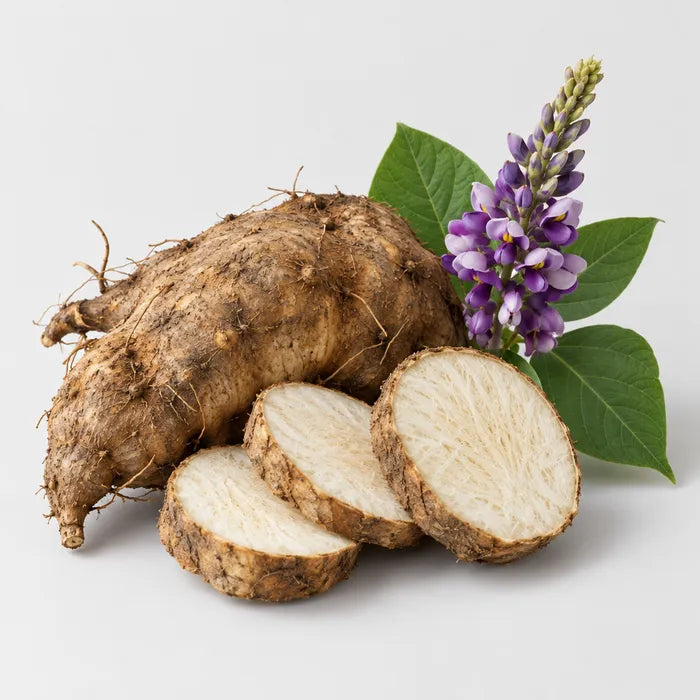 Kudzu Root · 68 mg