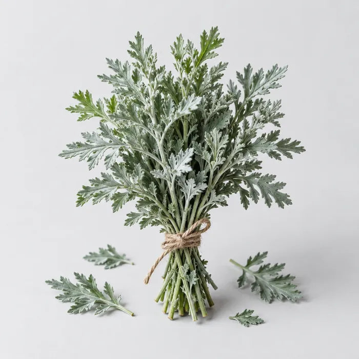 Wormwood · 50 mg